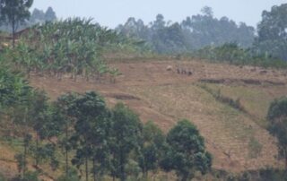 2009_0827burundi0057