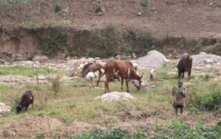 2009_0827burundi0068