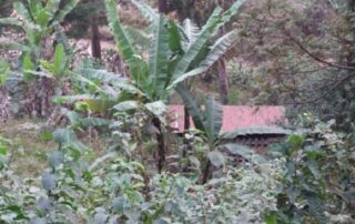 2009_0827burundi0078