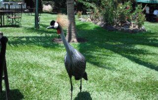 20_01_2010_burundi0018