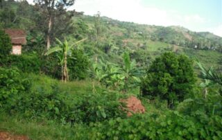 20_01_2010_burundi0044