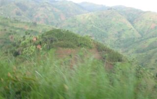 20_01_2010_burundi0047